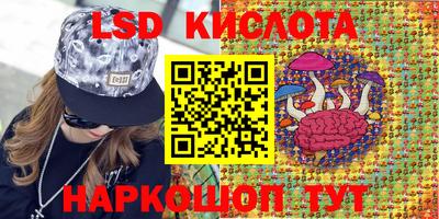 стафф Можга