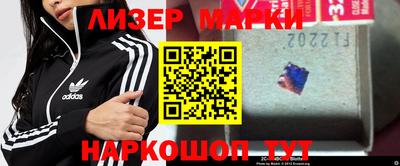 стафф Можга