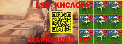 стафф Можга
