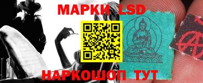 стафф Можга