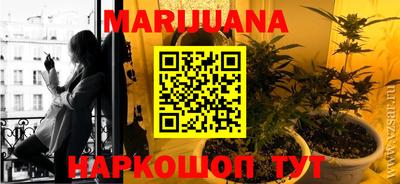 стафф Можга