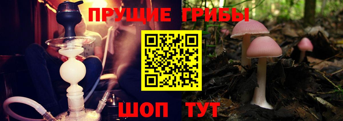 Псилоцибиновые грибы GOLDEN TEACHER  сколько стоит  Галлюциногенные грибы MAGIC MUSHROOMS  Ульяновск  Вход с VPN 
